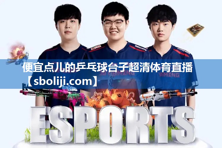 便宜点儿的乒乓球台子超清体育直播