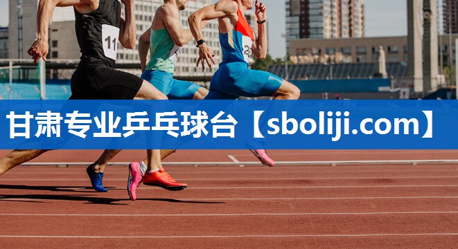 甘肃专业乒乓球台