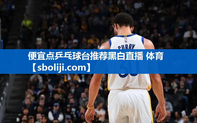 便宜点乒乓球台推荐黑白直播 体育