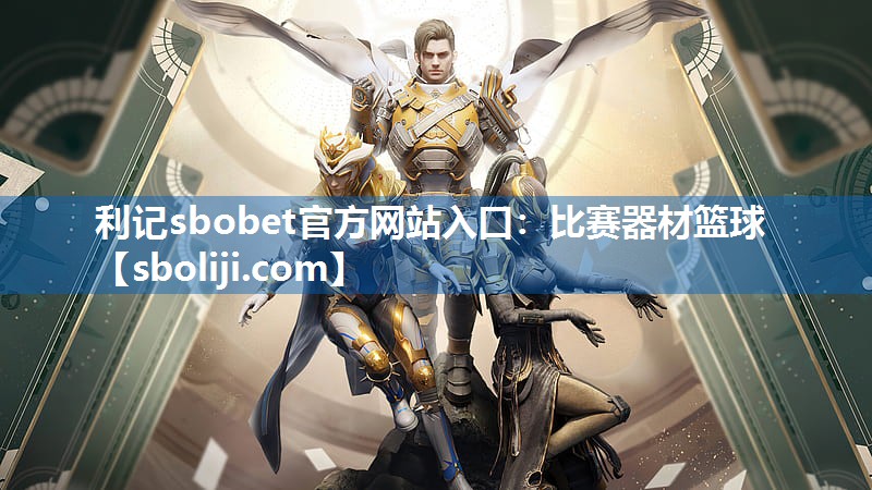 比赛器材篮球