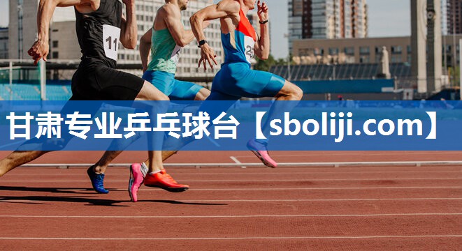 甘肃专业乒乓球台