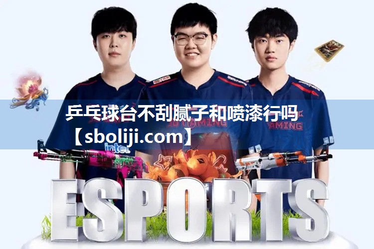 乒乓球台不刮腻子和喷漆行吗